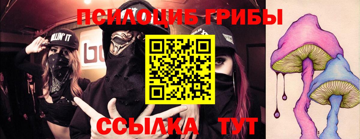 Галлюциногенные грибы MAGIC MUSHROOMS  Галлюциногенные грибы Magic Shrooms  Вход с VPN  Избербаш 